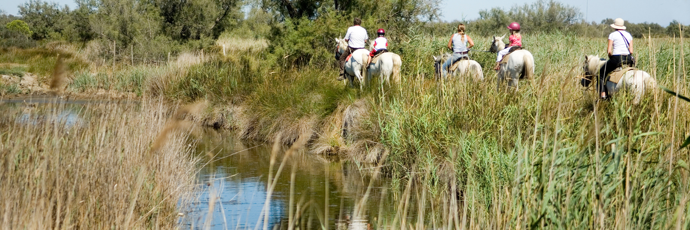 Balade à cheval