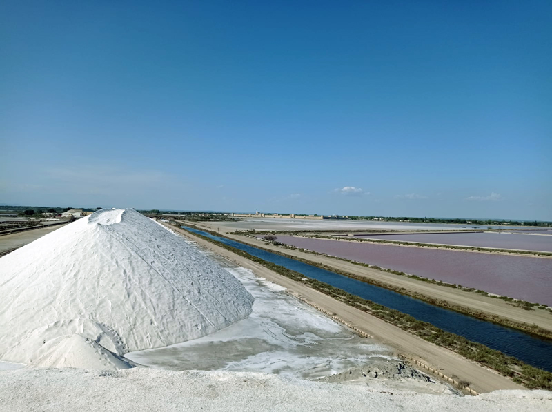 Visite des Salins (Aigues-Mortes)